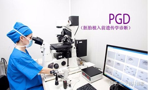 连云港首个MDT模式成功阻断罕见遗传病基因供卵试管婴儿诞生