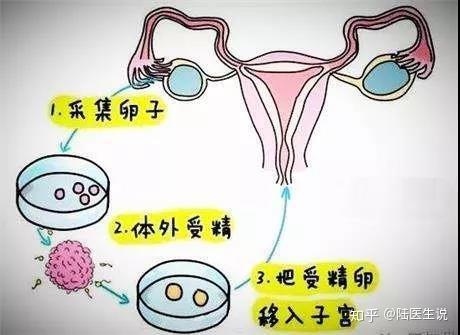 2024清宫图生男生女表(正版)兔年2024生男生女表!