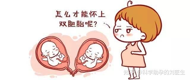 胚胎冷冻会影响胚胎质量吗（试管冷冻移植的成功率？）